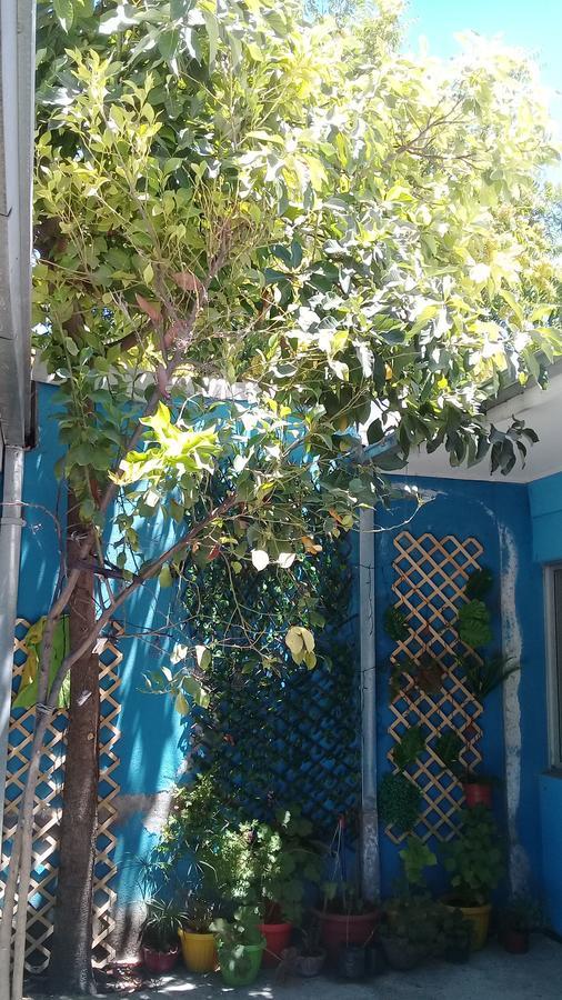 Hostal Casa Azul 塔尔卡 外观 照片